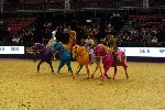 Quadrille - 00582